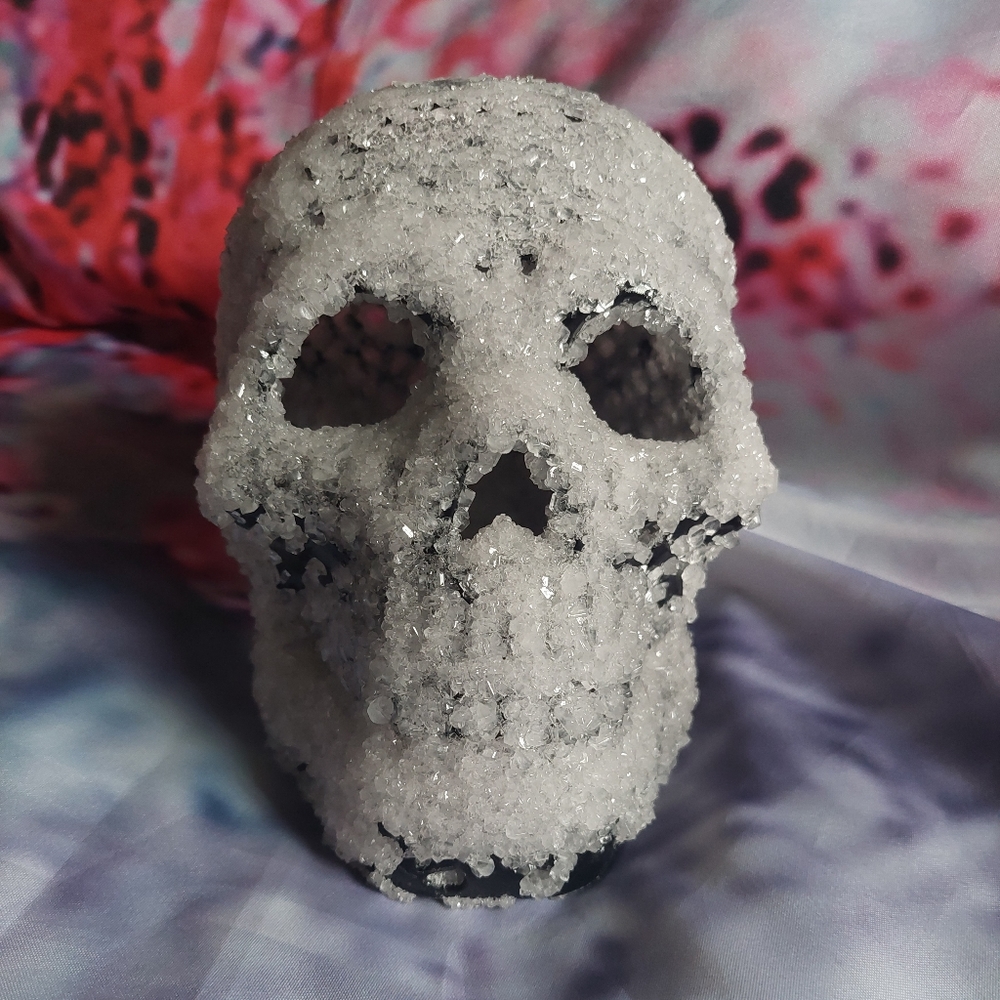 Crystal Skulls - Picture 10 of 14
